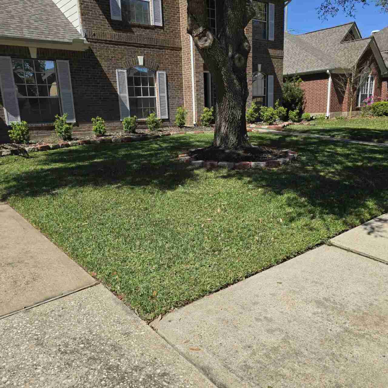 Leaf removal — customer yard