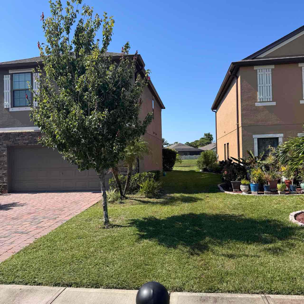 Bush trimming — customer yard