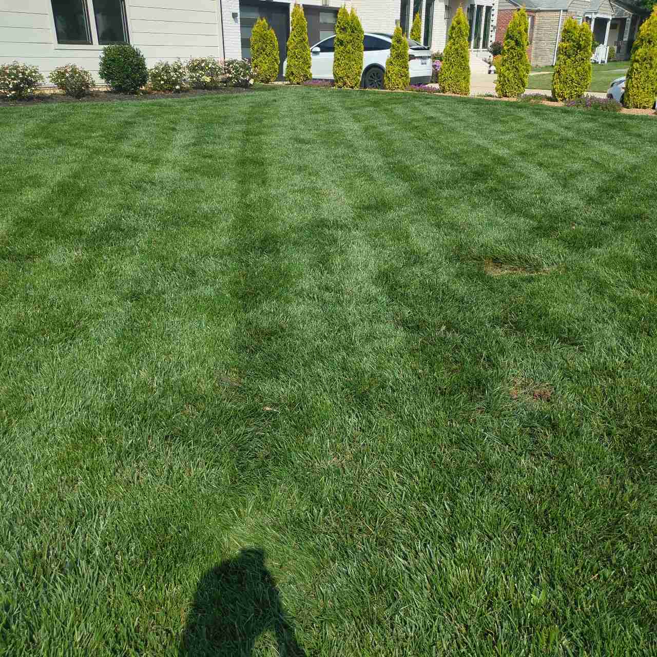 Lawn treatment — customer yard