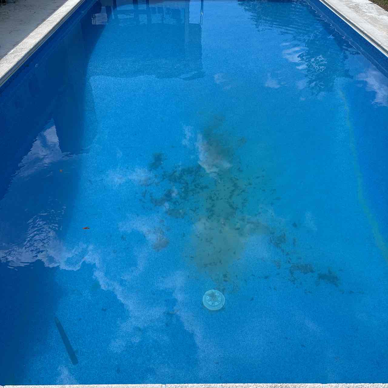 Pool before cleaning