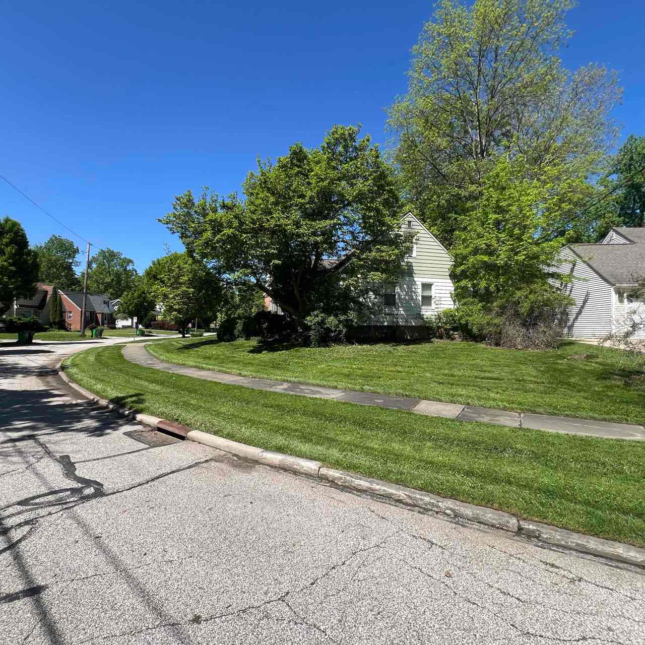 Leaf removal — customer yard