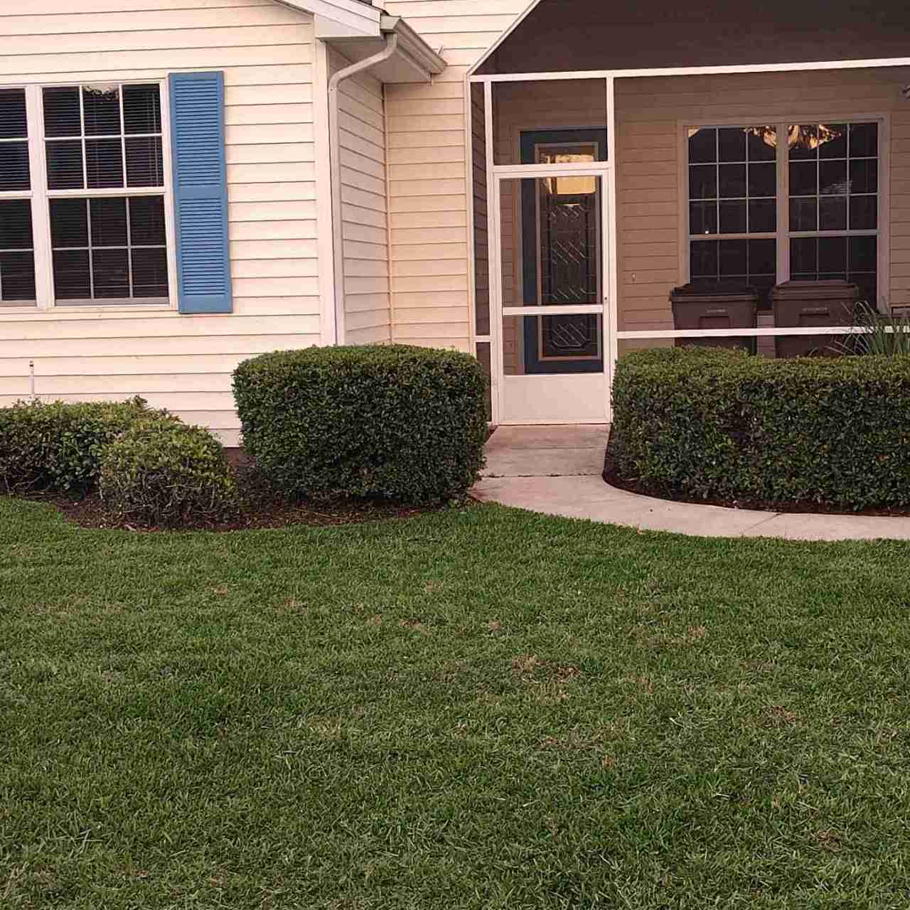 Bush trimming — customer yard